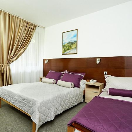 Hotel Moravica Soko Banja Bilik gambar