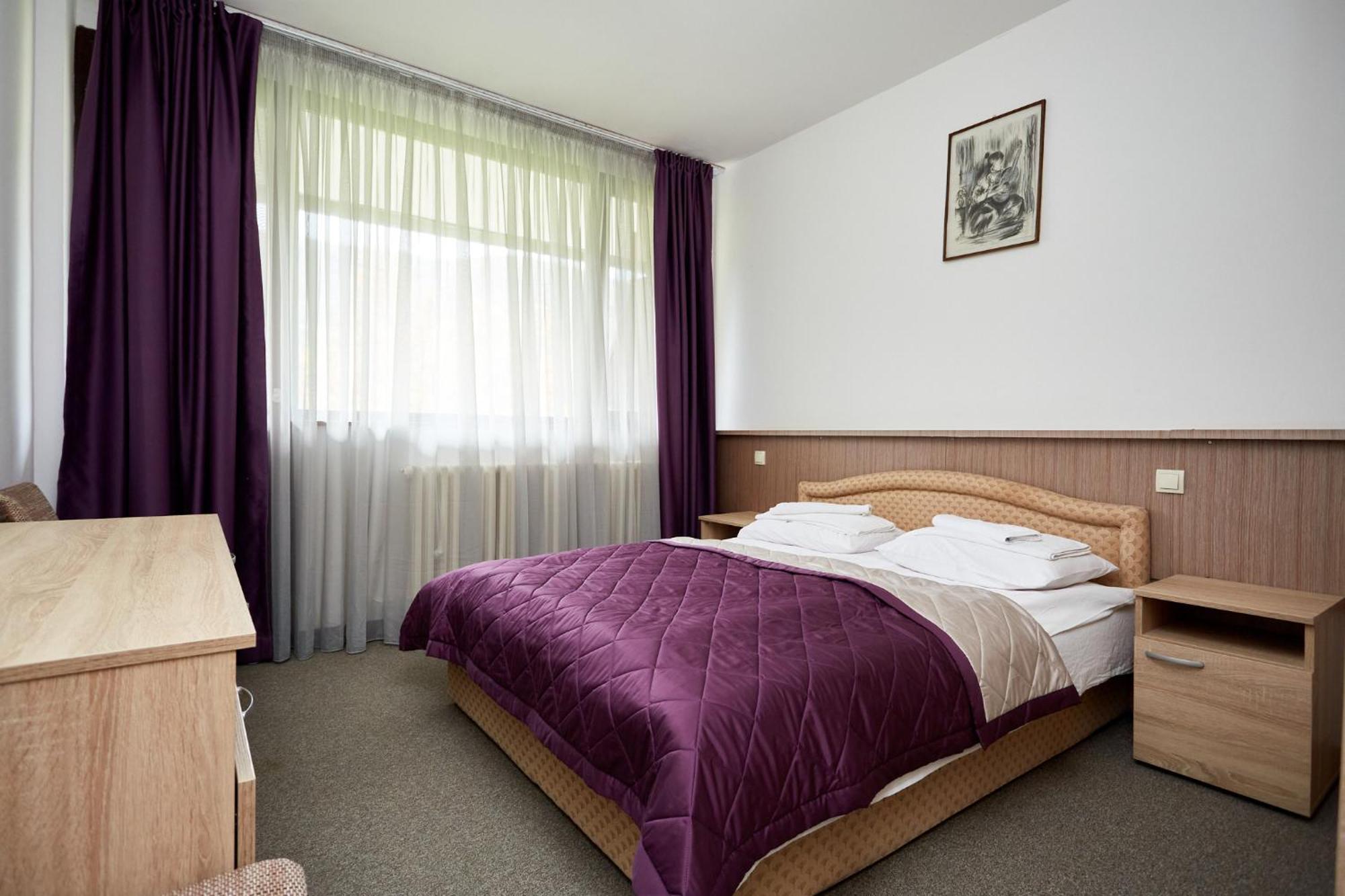 Hotel Moravica Soko Banja Bilik gambar